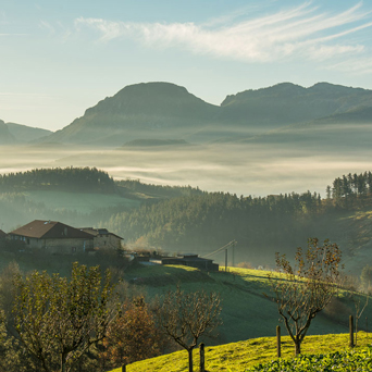 Euskadi